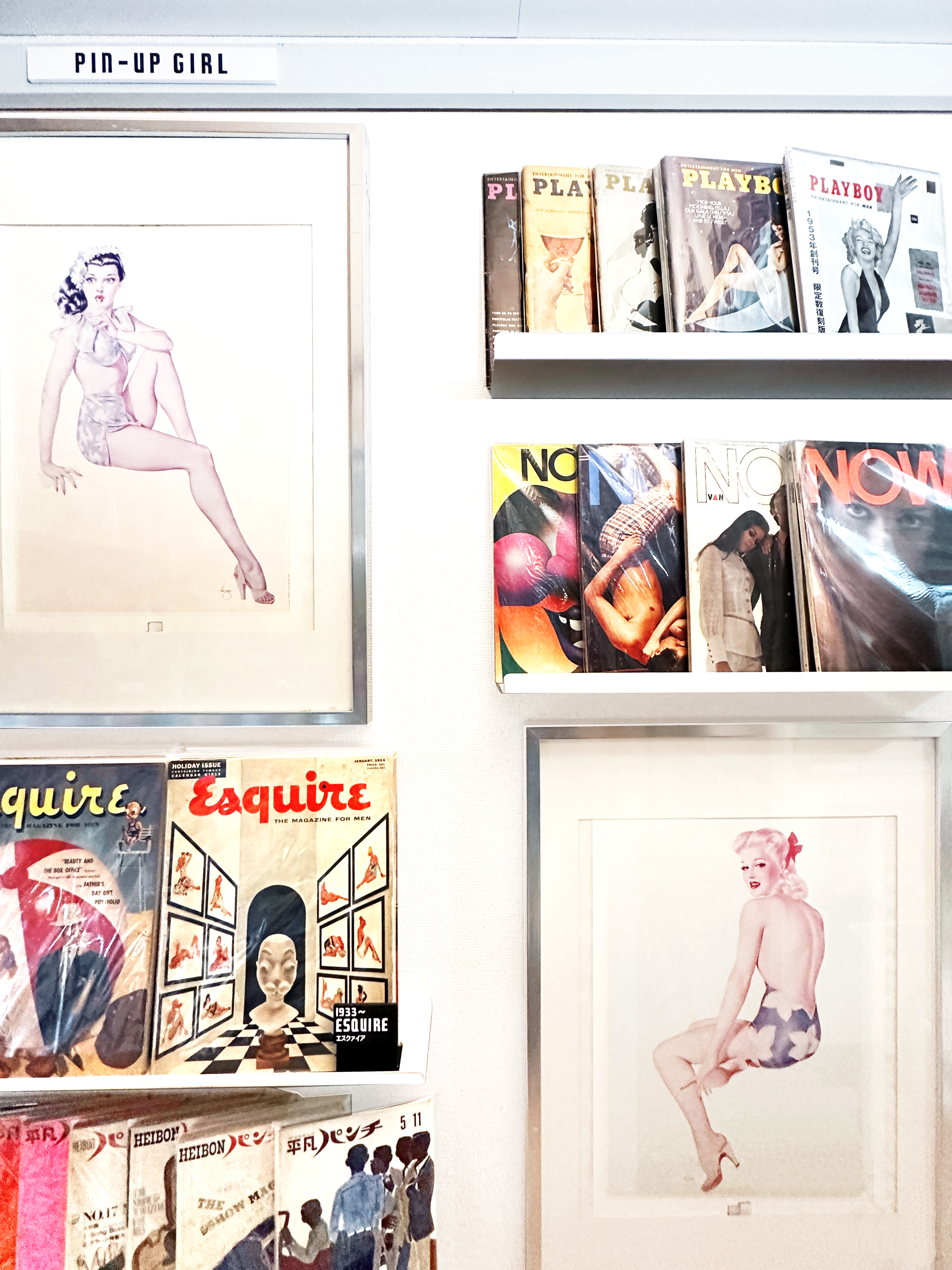 ピンナップガール｜PIN-UP GIRL – SPs.wonderland