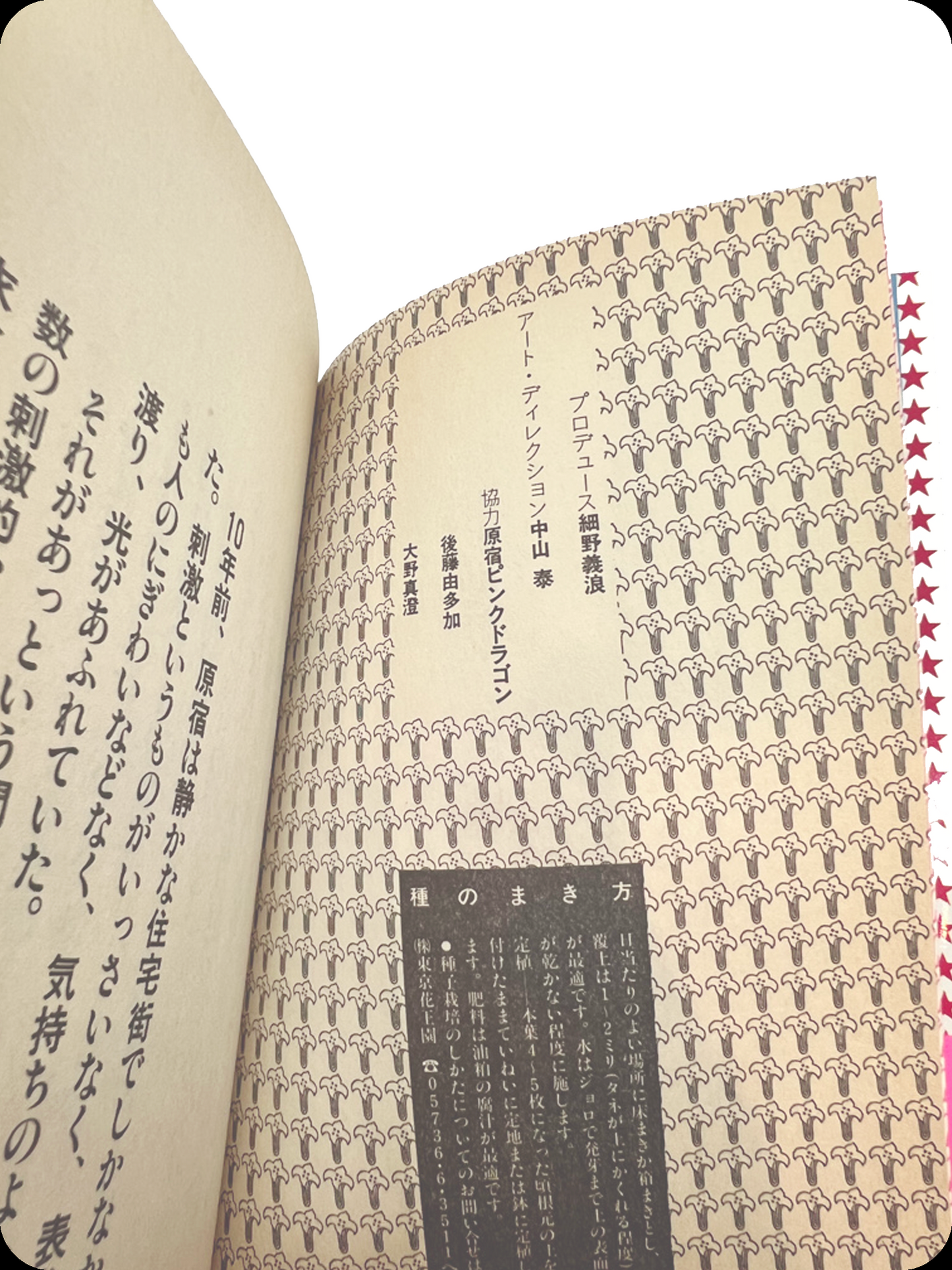 原宿ゴールドラッシュ 青雲篇 - 1985.12