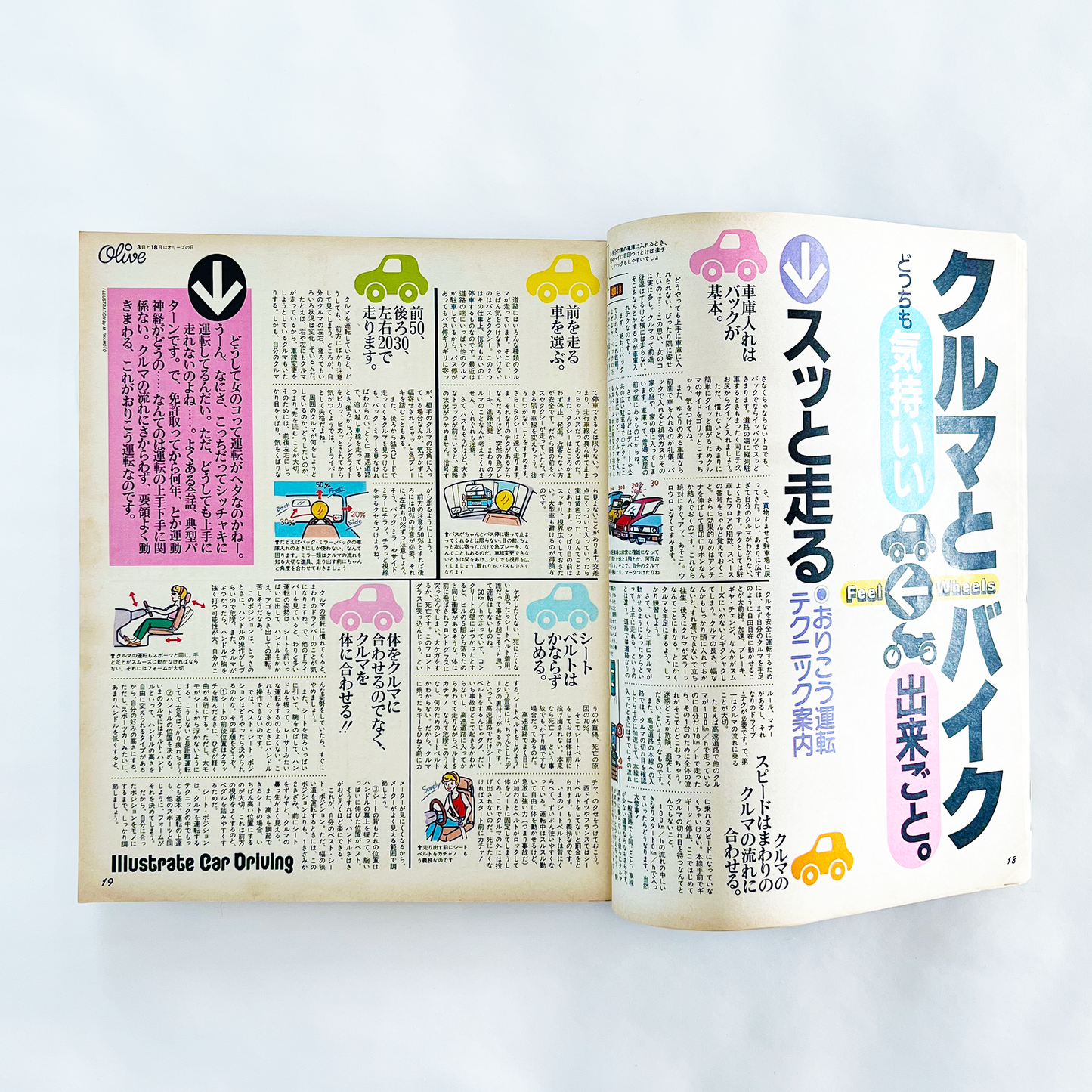 Olive No.5 - 1982.8