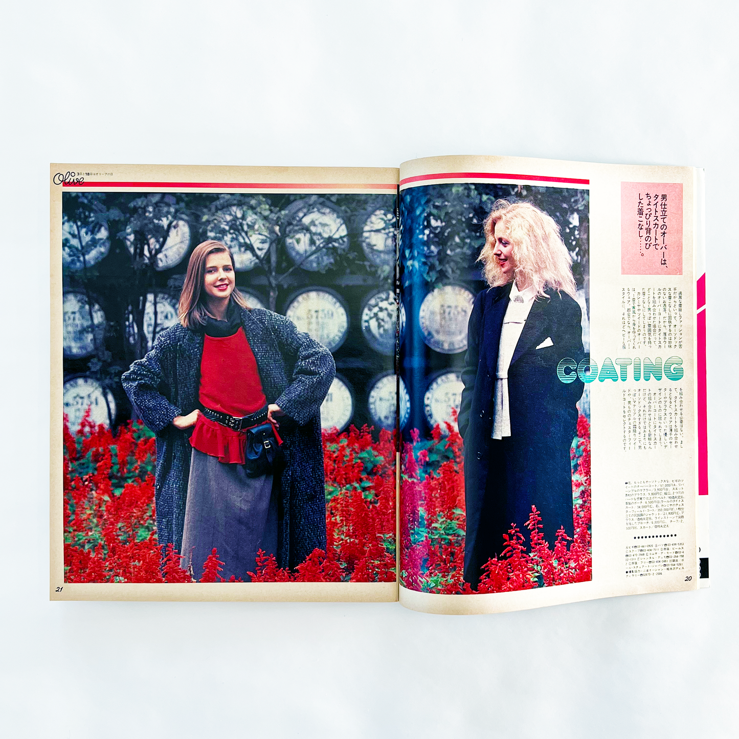 Olive No.11 - 1982.11