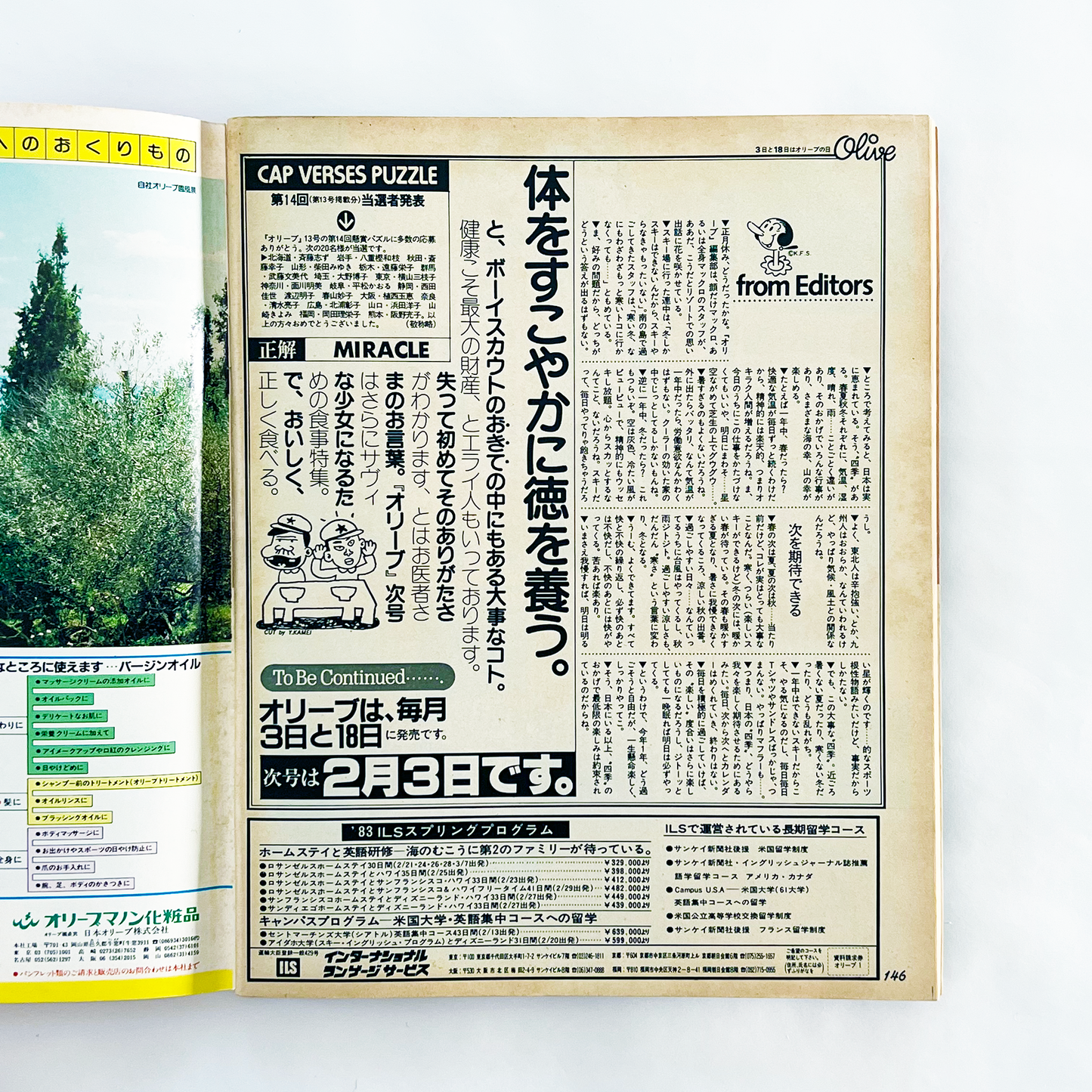 Olive No.16 - 1983.2