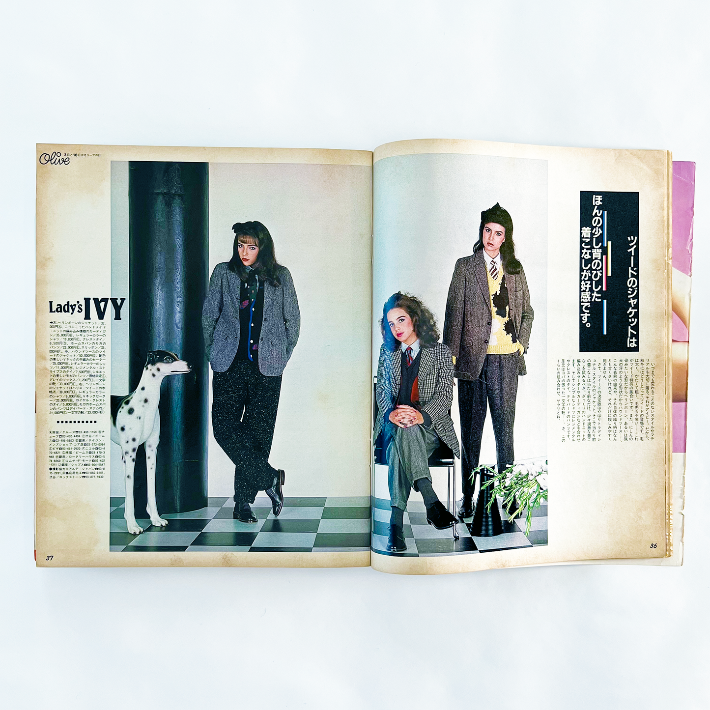 Olive No.9 - 1982.10