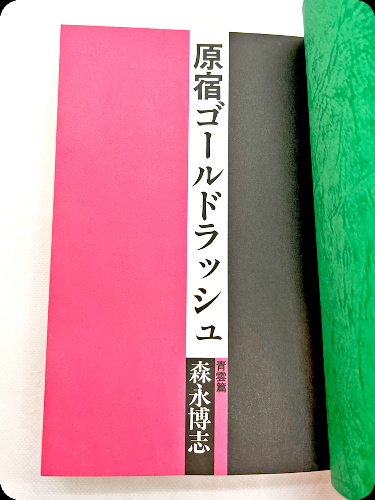 原宿ゴールドラッシュ 青雲篇 1985年12月30日発売｜森永博志