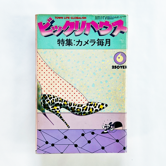 ビックリハウス 1976年6月号 第2巻第6号 (通巻17号)｜ビックリハウス編集部