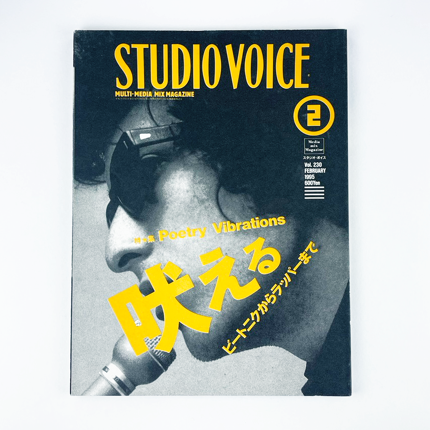 STUDIO VOICE Vol.230 - 1995.2